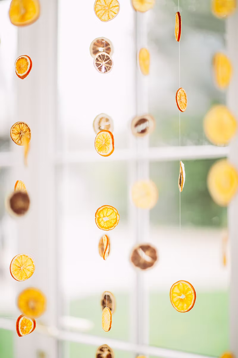 Fruity Back Drop — Fruity Back Drop