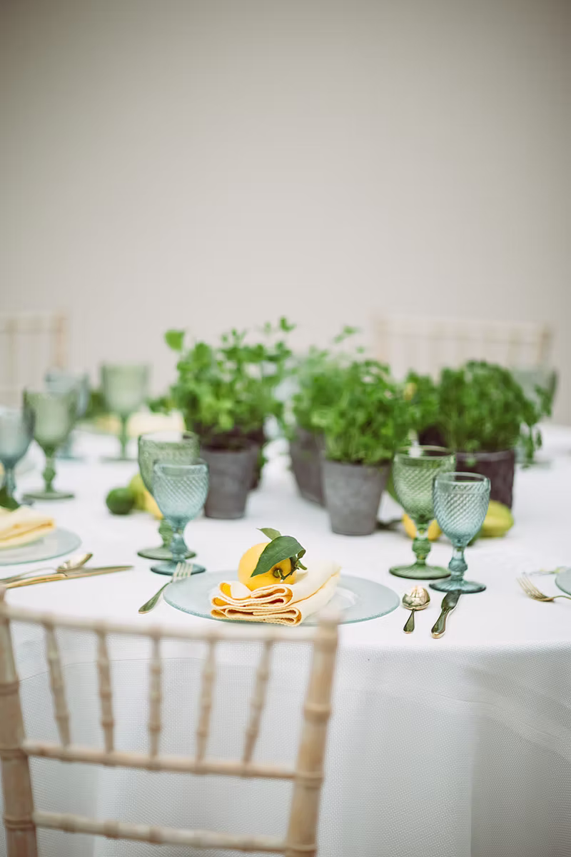 Photography captured by Lemonade Pictures