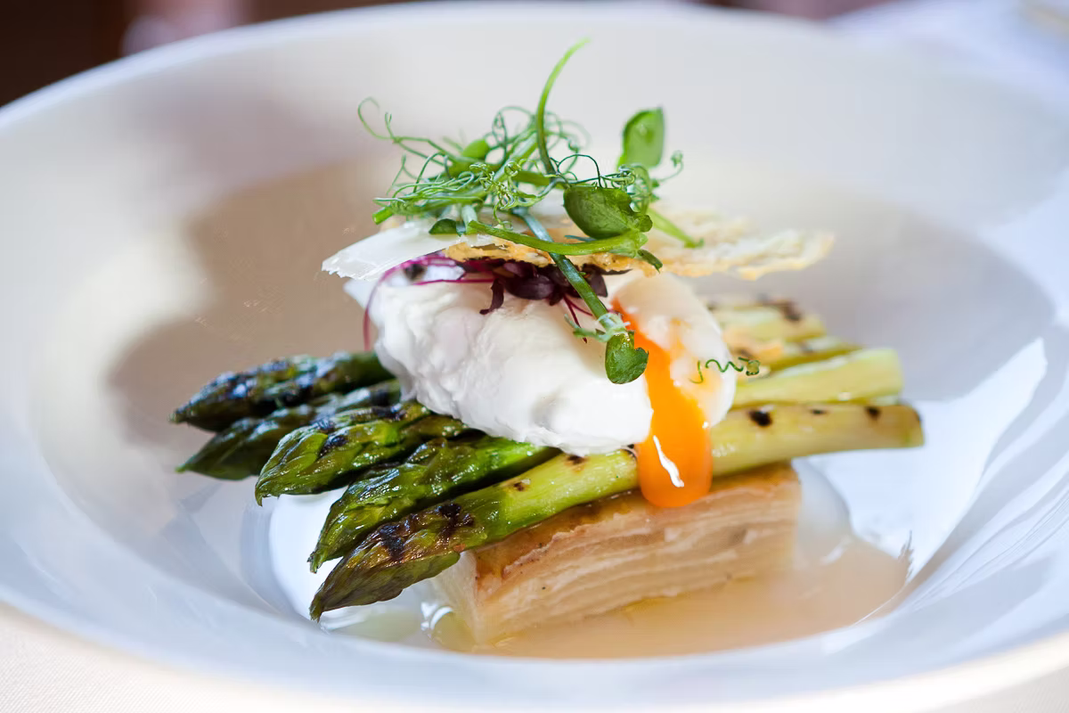 Starter captured by Lorna Elizabeth