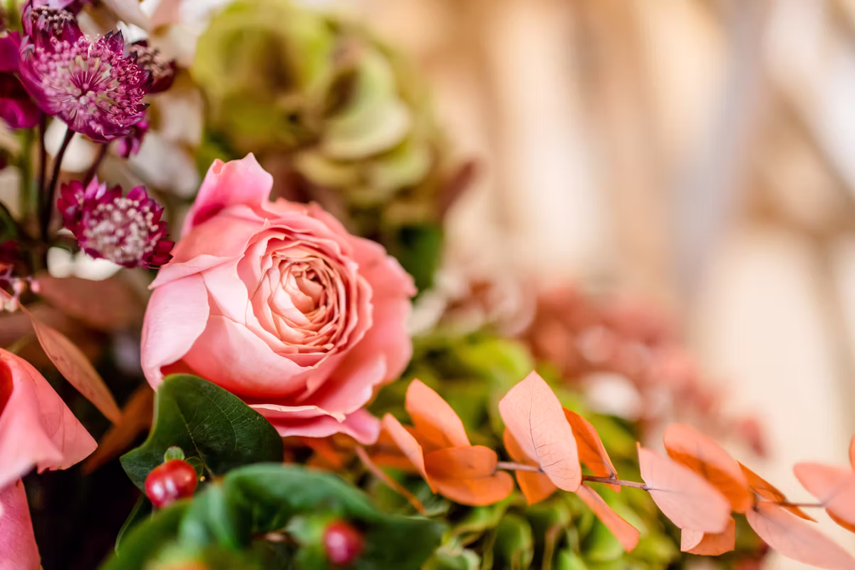 Pink Flowers