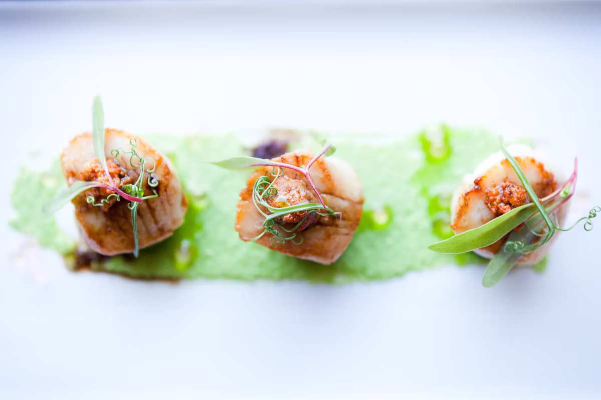 Scallops captured by Lorna Elizabeth