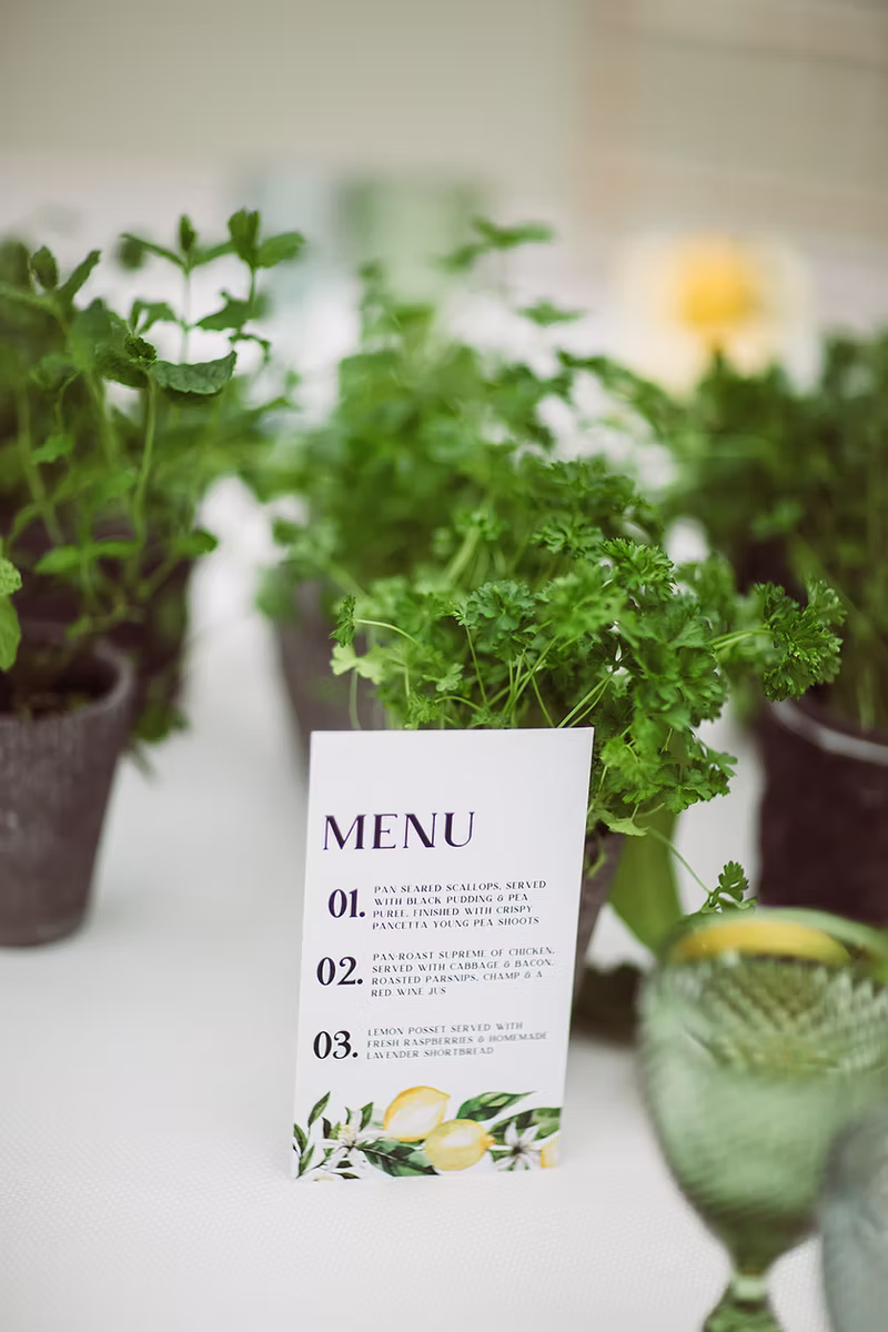 Catering by Scott Anderson Ltd